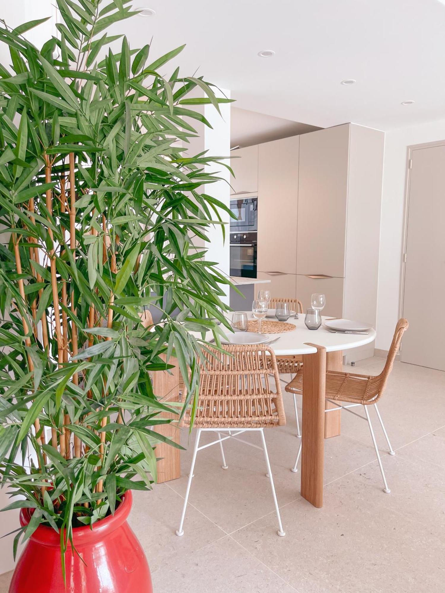 Immersione - Clim - Terrasse Jardin - Centre Ville Cassis Ngoại thất bức ảnh